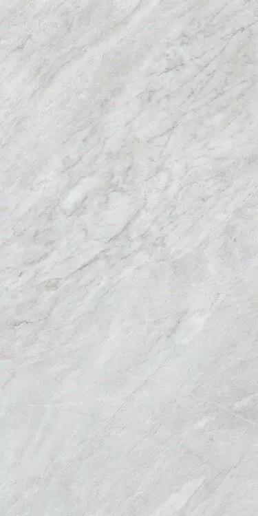 Bardiglio Silver Lappato 60x120 RT